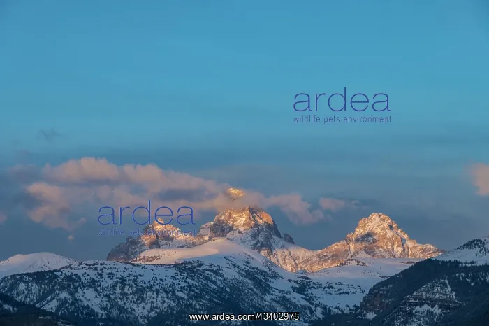 : USA, Wyoming. Sunset over Teton Mountains from the : USA, Wyoming. Sunset over Teton Mountains from the