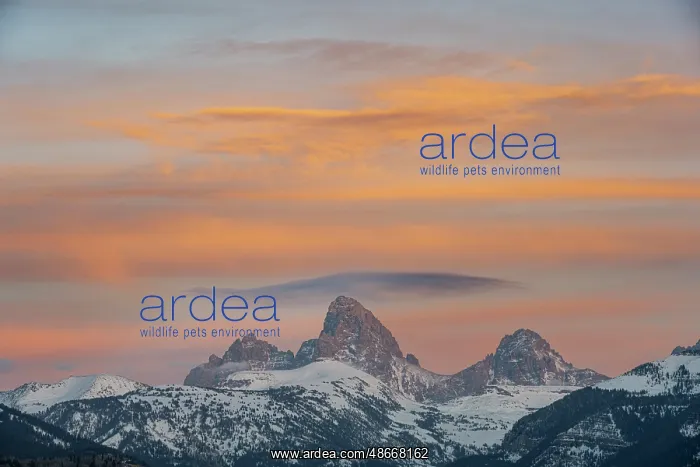 : USA, Wyoming. Sunset over Teton Range from the west with : USA, Wyoming. Sunset over Teton Range from the west with