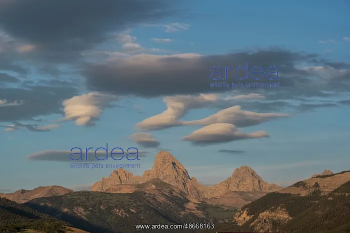 : USA, Wyoming. Unusual clouds form over Mount Owen, Grand and : USA, Wyoming. Unusual clouds form over Mount Owen, Grand and