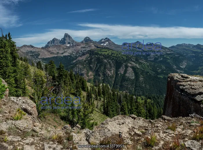 : USA, Wyoming. View of Grand Teton and National Park : USA, Wyoming. View of Grand Teton and National Park