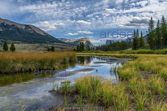 : USA, Wyoming. White Rock Mountain and Squaretop : USA, Wyoming. White Rock Mountain and Squaretop