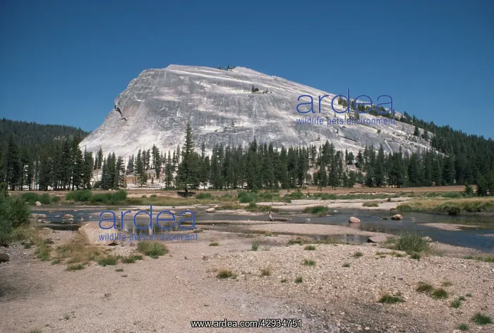 : USA - Yosemite National park : USA - Yosemite National park