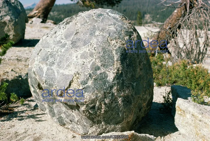 : USA - Yosemite National Park, California : USA - Yosemite National Park, California