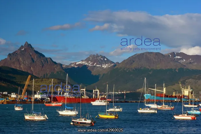 : Ushuaia Harbour - rainbow over yachts and view : Ushuaia Harbour - rainbow over yachts and view