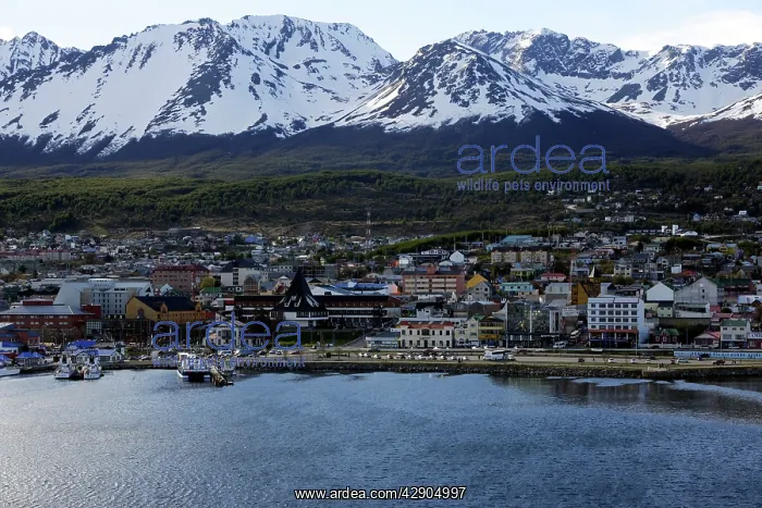  : Ushuaia - Tierra del fuego National Park - Argentina