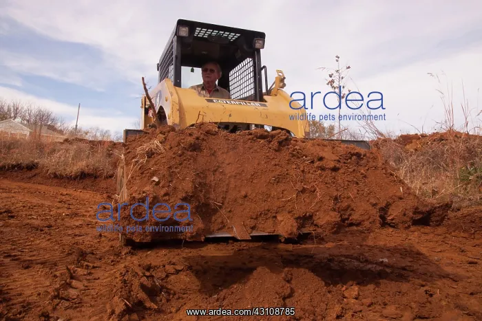 : Using a Skid Loader : Using a Skid Loader