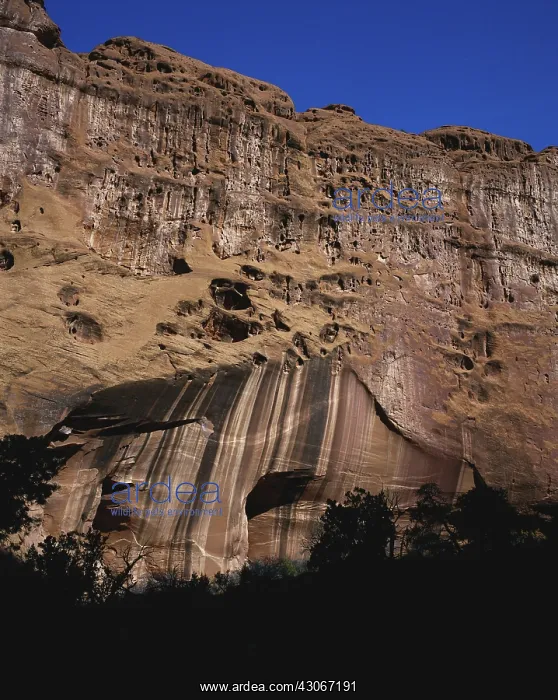 : Utah Rock Formation : Utah Rock Formation