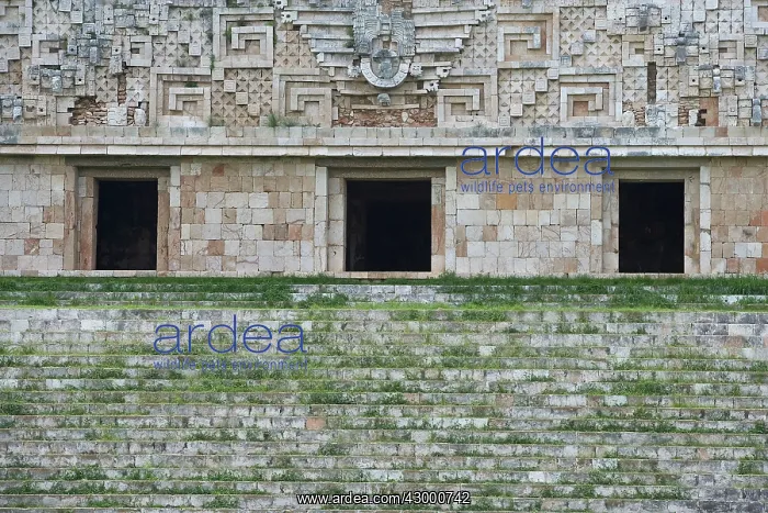 : Uxmal Mayan Ruins : Uxmal Mayan Ruins