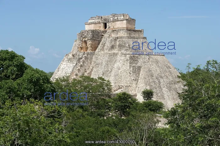  : Uxmal Mayan Ruins