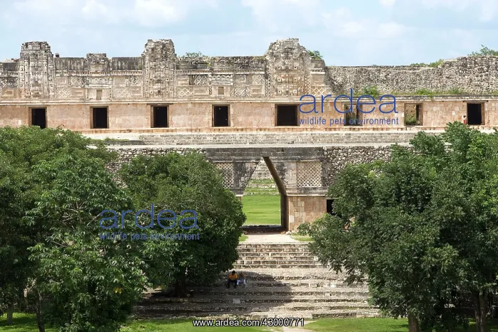 : Uxmal Mayan Ruins : Uxmal Mayan Ruins