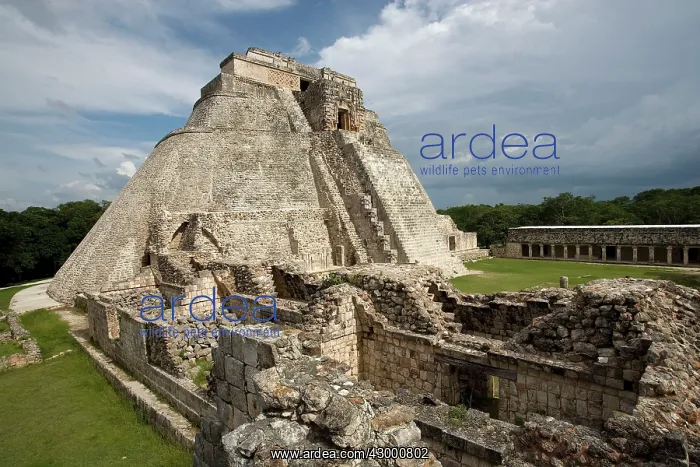 : Uxmal Mayan Ruins : Uxmal Mayan Ruins