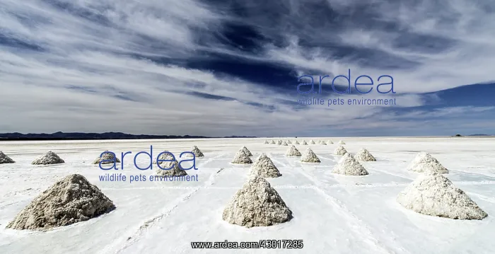: Uyuni Salt Flats / Salar de Uyuni (or Salar de Tunupa) : Uyuni Salt Flats / Salar de Uyuni (or Salar de Tunupa)