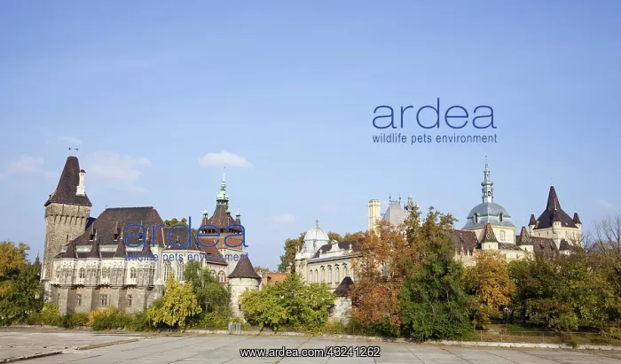 : Vajdahunyad Castle in Budapest during fall : Vajdahunyad Castle in Budapest during fall