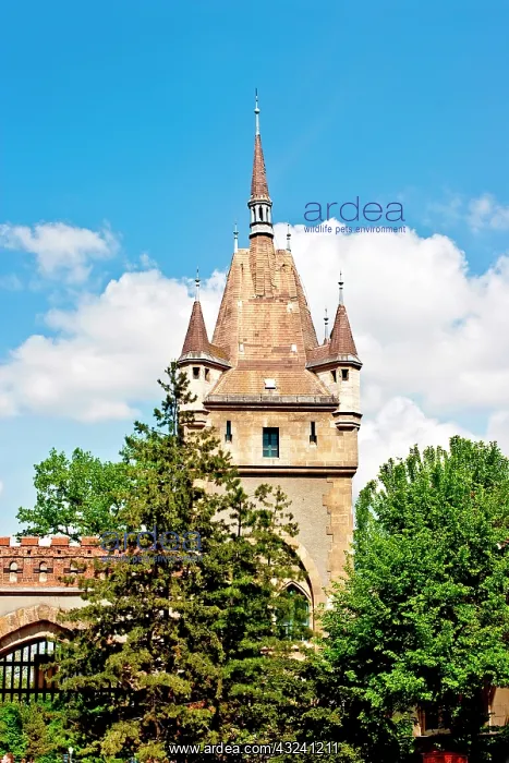 : Vajdahunyad Castle in Varosliget (City Park) : Vajdahunyad Castle in Varosliget (City Park)