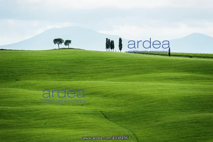 : Val d Orcia, Orcia Valley, UNESCO World Heritage Site : Val d Orcia, Orcia Valley, UNESCO World Heritage Site