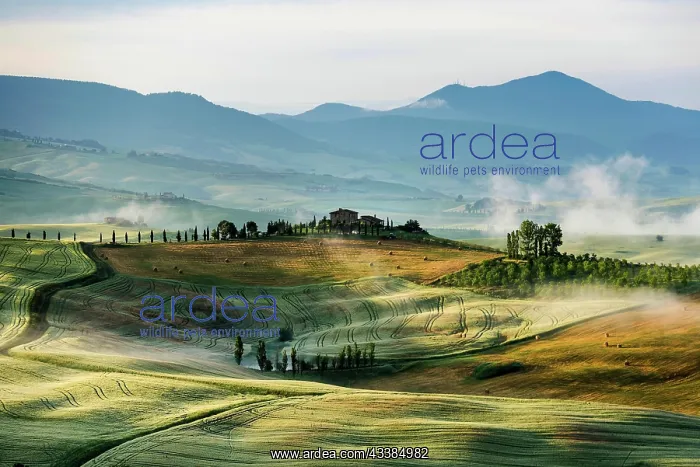 : Val d Orcia, Orcia Valley, UNESCO World Heritage Site : Val d Orcia, Orcia Valley, UNESCO World Heritage Site