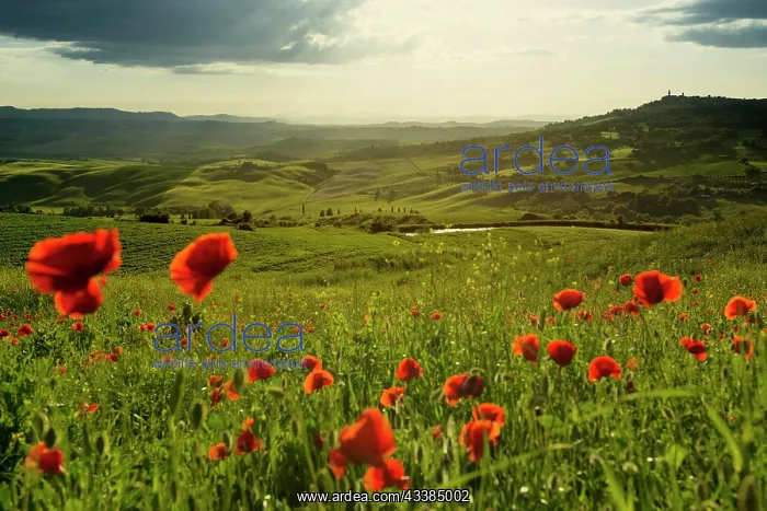 : Val d Orcia, Orcia Valley, UNESCO World Heritage Site : Val d Orcia, Orcia Valley, UNESCO World Heritage Site