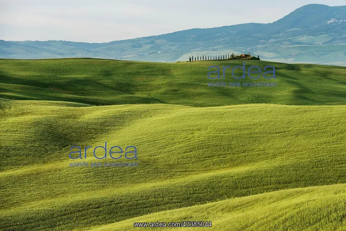 : Val d Orcia, Orcia Valley, UNESCO World Heritage Site : Val d Orcia, Orcia Valley, UNESCO World Heritage Site