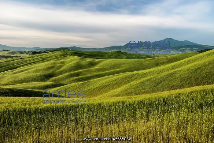 : Val d Orcia, Orcia Valley, UNESCO World Heritage Site : Val d Orcia, Orcia Valley, UNESCO World Heritage Site