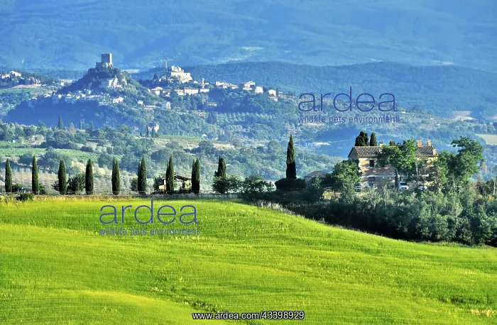  : VAL D'ORCIA, ITALY - JUNE 12, 2017: Landscape view