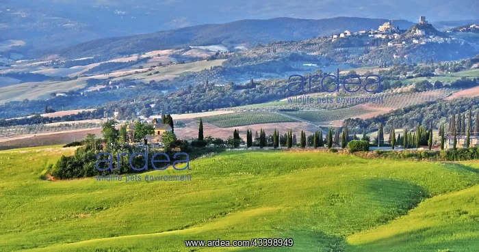  : VAL D'ORCIA, ITALY - JUNE 12, 2017: Landscape view