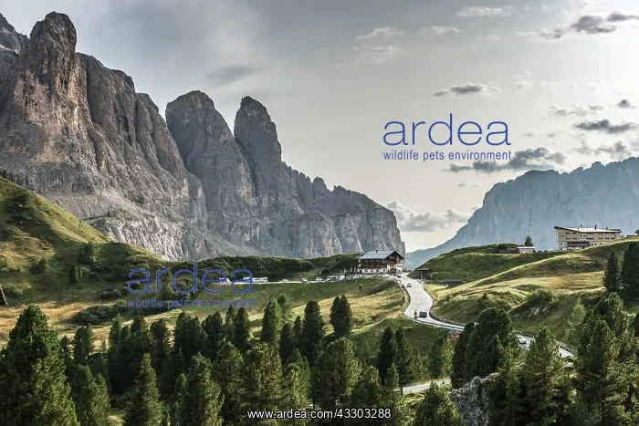 : Val Gardena Pass, Passo Gardena, 2121m, left Sella : Val Gardena Pass, Passo Gardena, 2121m, left Sella