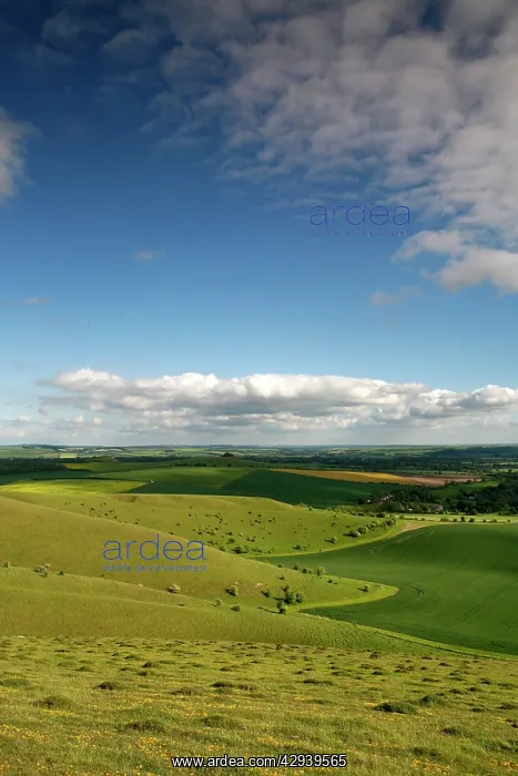 : The Vale of Pewsey seen from Walkers Hill, which : The Vale of Pewsey seen from Walkers Hill, which