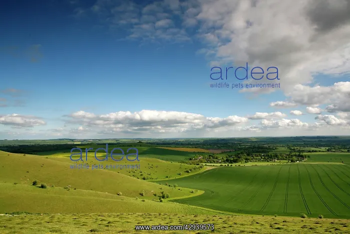 : The Vale of Pewsey seen from Walkers Hill, which : The Vale of Pewsey seen from Walkers Hill, which