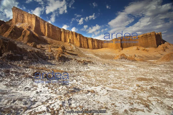 : Valle de la Luna - Atacama - Chile : Valle de la Luna - Atacama - Chile