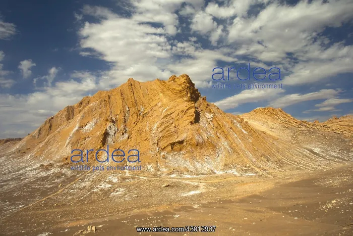 : Valle de la Luna - Atacama - Chile : Valle de la Luna - Atacama - Chile
