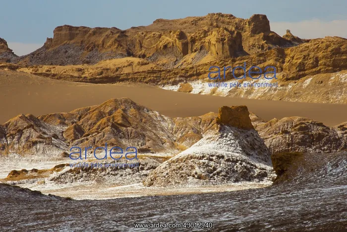 : Valle de la Luna - Atacama - Chile : Valle de la Luna - Atacama - Chile
