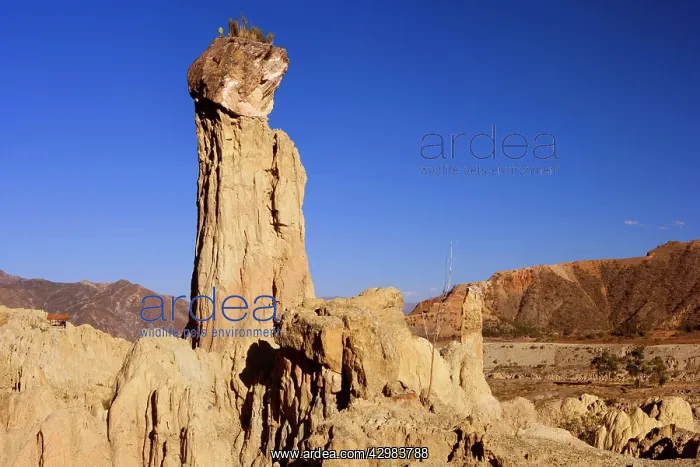 : Valle de La Luna - bizarre eroded clay formations : Valle de La Luna - bizarre eroded clay formations