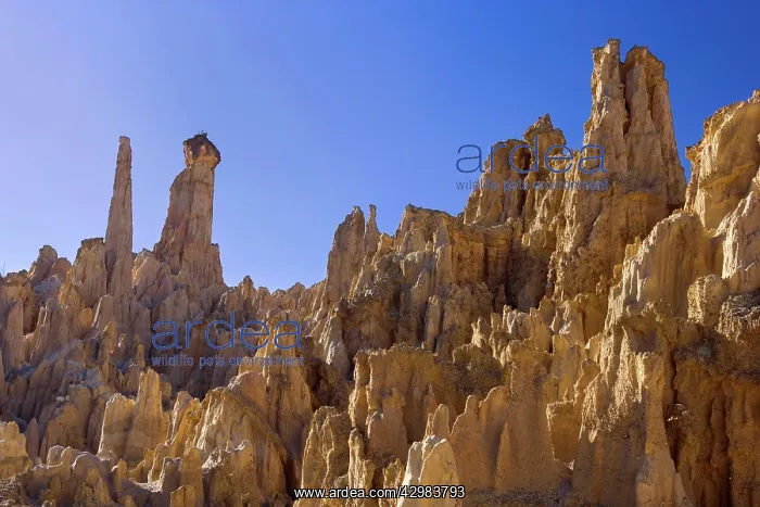 : Valle de La Luna - bizarre eroded clay formations : Valle de La Luna - bizarre eroded clay formations