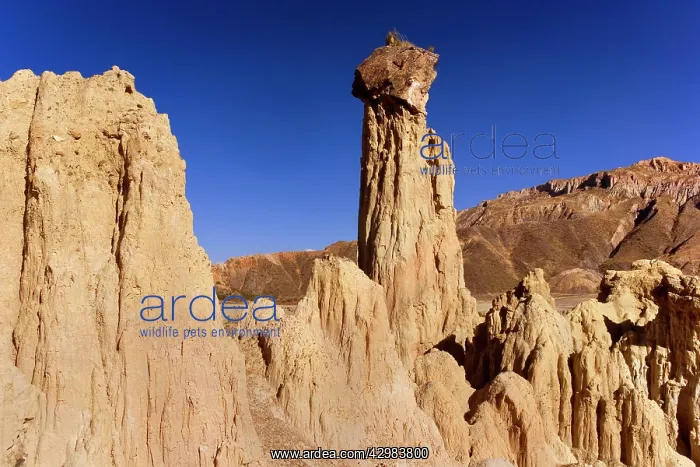: Valle de La Luna - bizarre eroded clay formations : Valle de La Luna - bizarre eroded clay formations