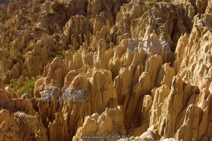  : Valle de La Luna - bizarre eroded clay formations