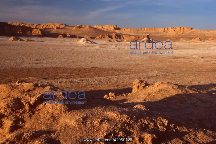 : Valle de la Luna - stark landscape of the Moon : Valle de la Luna - stark landscape of the Moon