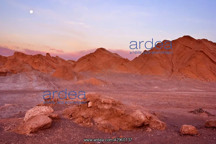 : Valle de la Luna - stark landscape of the Moon : Valle de la Luna - stark landscape of the Moon