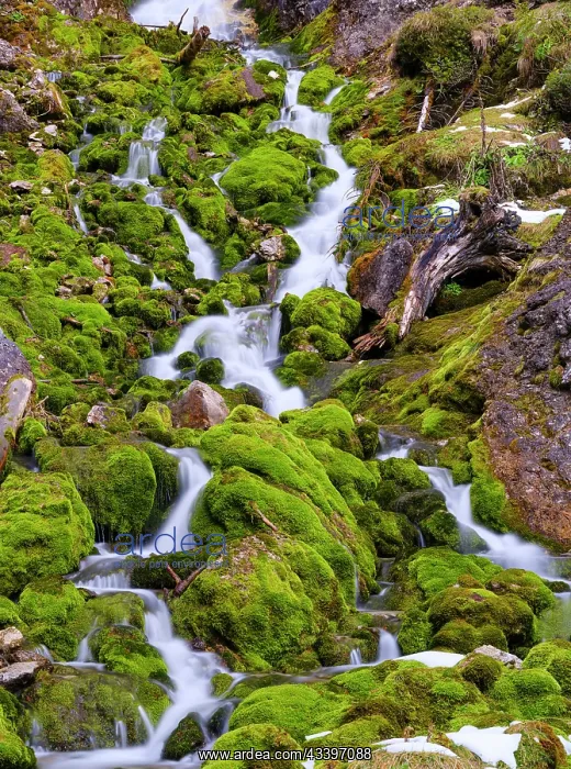  : Vallesinella Falls, Cascate Alte, an icon of the