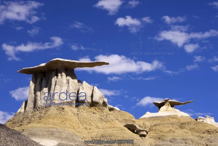 : The Valley of Dreams, New Mexico, USA, Valley of : The Valley of Dreams, New Mexico, USA, Valley of