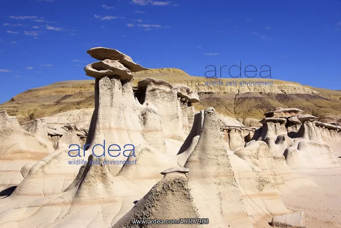 : The Valley of Dreams, New Mexico, USA, Valley of : The Valley of Dreams, New Mexico, USA, Valley of