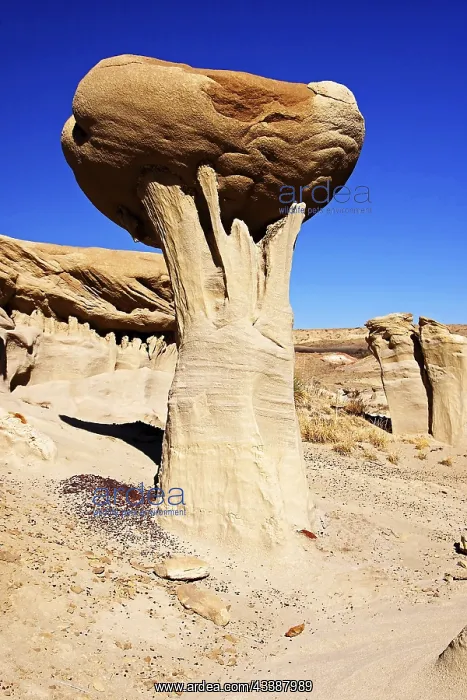  : The Valley of Dreams, New Mexico, USA, Valley of