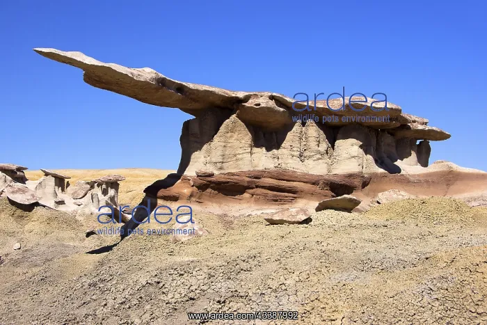 : The Valley of Dreams, New Mexico, USA, Valley of : The Valley of Dreams, New Mexico, USA, Valley of