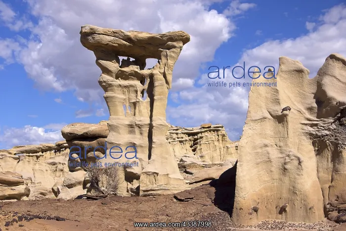 : The Valley of Dreams, New Mexico, USA, Valley of : The Valley of Dreams, New Mexico, USA, Valley of