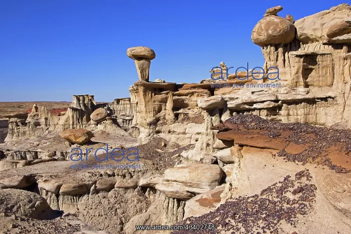 : The Valley of Dreams, New Mexico, USA, Valley of : The Valley of Dreams, New Mexico, USA, Valley of