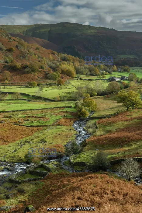 : The valley of Easedale in autumn, looking down S : The valley of Easedale in autumn, looking down S