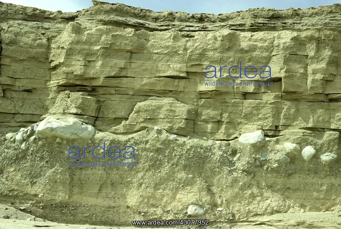 : Valley-fill, Qaidam Basin, China : Valley-fill, Qaidam Basin, China