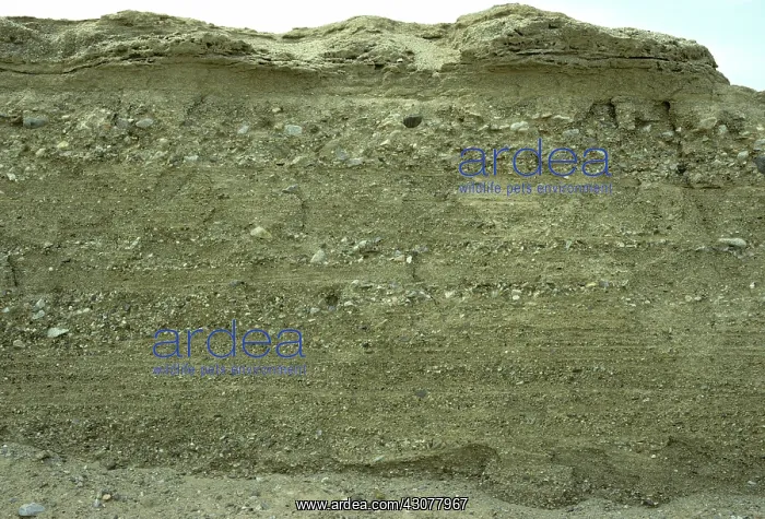 : Valley-fill, Qaidam Basin, China : Valley-fill, Qaidam Basin, China