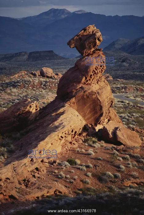 : Valley of Fire, Nevada : Valley of Fire, Nevada