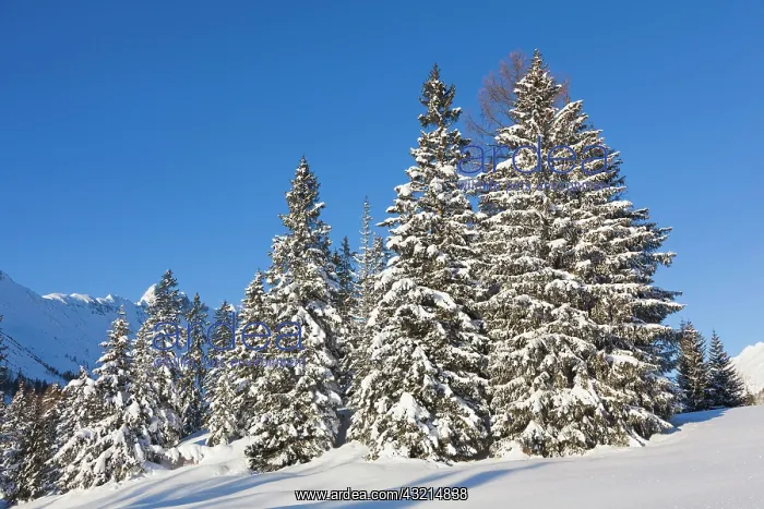 : Valley Gaistal with snow during deep winter : Valley Gaistal with snow during deep winter