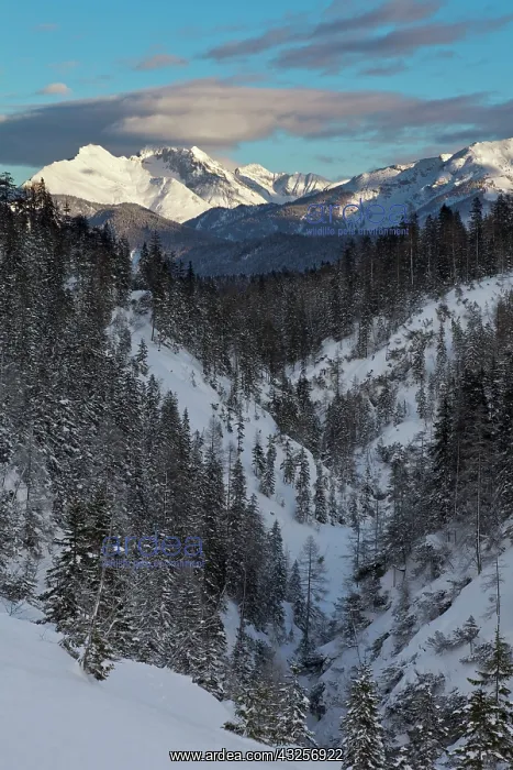  : Valley Gaistal with snow during deep winter